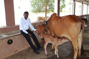 Dr. Sethukumanan Chairman