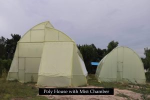 Poly-house